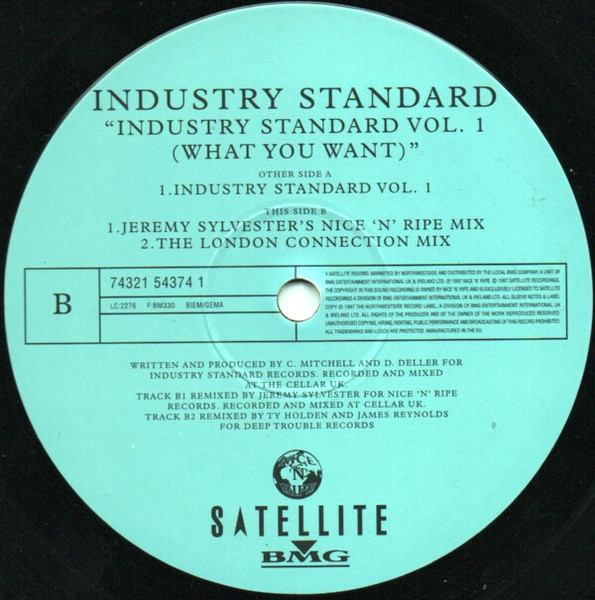 Industry Standard Vol. 1 (What You Want) by Industry Standard (2) - 12", UK. 1997. Electronic/UK Garage Good Plus (G+) Very Good (VG) - vinyl For Sale in Nottingham. - 4