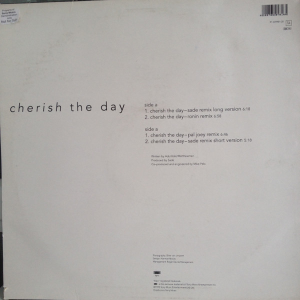Cherish The Day by Sade - 12", Single, UK. 1993. Electronic/Downtempo Very Good Plus (VG+) Very Good Plus (VG+) - vinyl For Sale in Nottingham. - 2