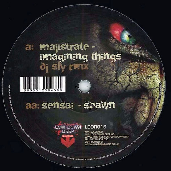 Imagining Things (DJ Sly Rmx) / Spawn