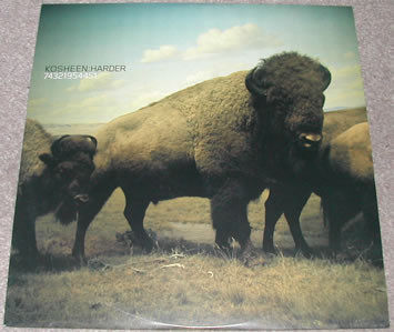 Harder by Kosheen - 12", UK. 2002. Electronic/House, Drum n Bass Very Good Plus (VG+) Very Good Plus (VG+) - vinyl For Sale in Nottingham. - 5